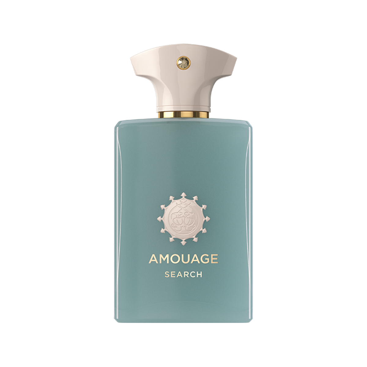 AMOUAGE SEARCH MAN EDP 100ML