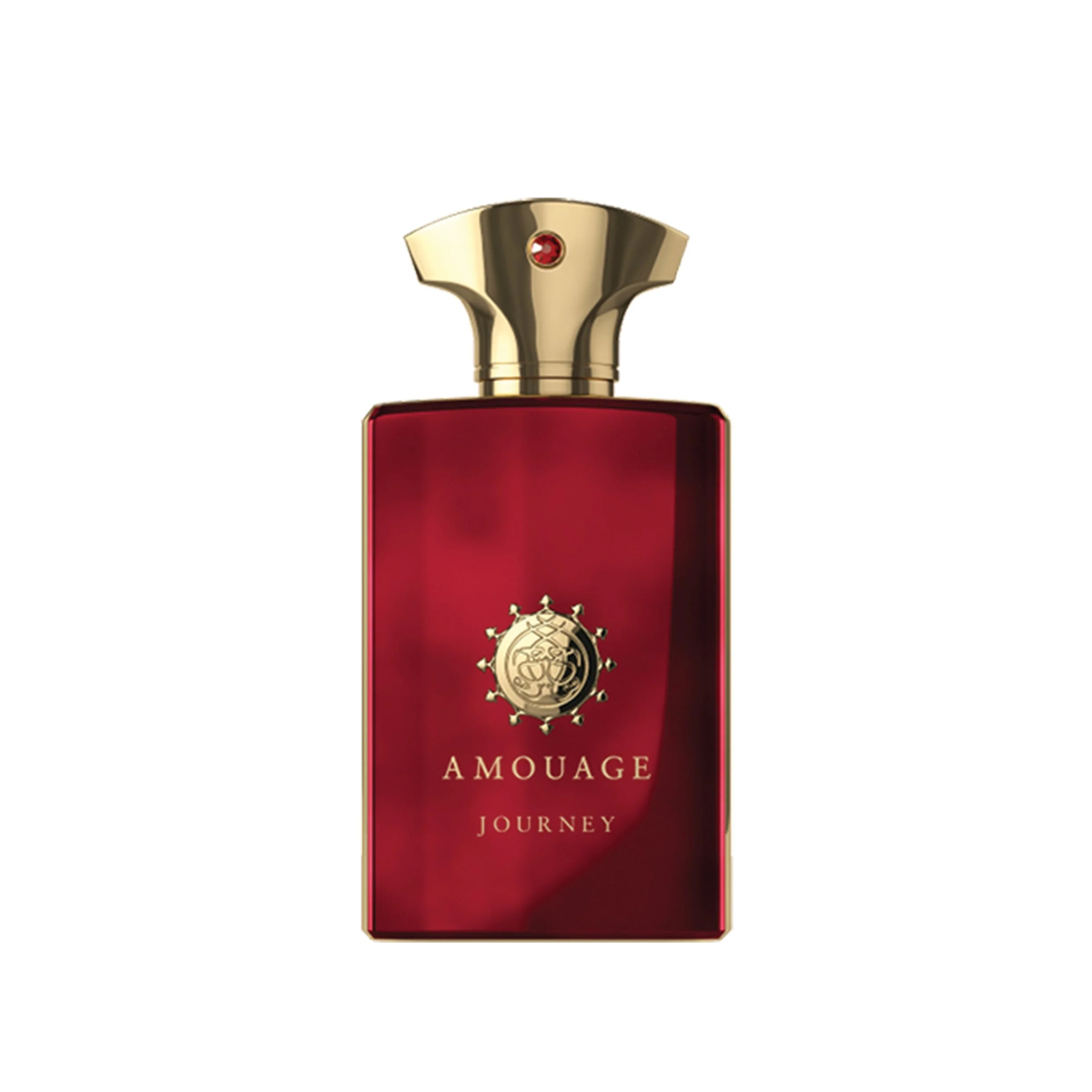 AMOUAGE JOURNEY MAN EDP100ML
