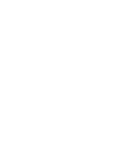 AL FAKHER TWO APPLE 25000 PUFFS