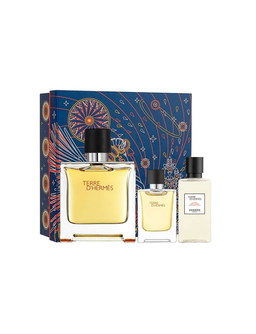 HERMES TERRE D'HERMES 100ml 2本セット - 香水(男性用)